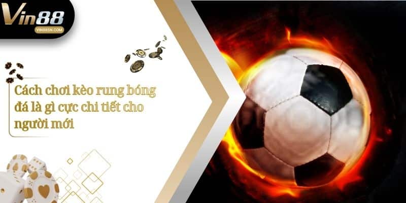 Cách chơi kèo rung bóng đá là gì cực chi tiết cho người mới